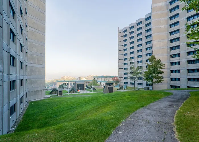 ZUM MTL Auberge d'été - Université de Montréal